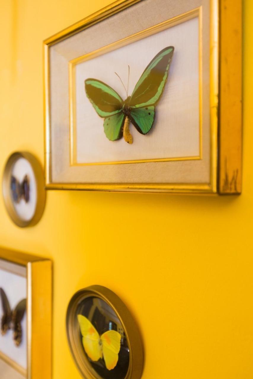 Le Jardin D'Emile Cassis Quarto foto